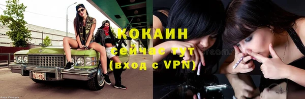 твердый Абаза