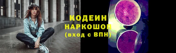 твердый Абаза