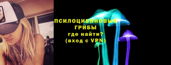 PSILOCYBIN Абдулино
