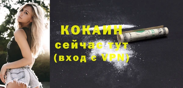 твердый Абаза