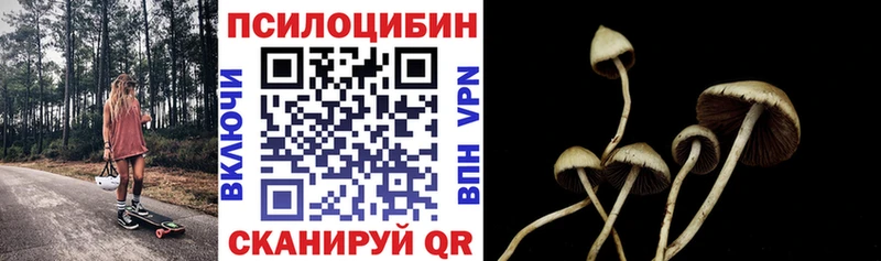 наркошоп  Гагарин  Псилоцибиновые грибы прущие грибы 